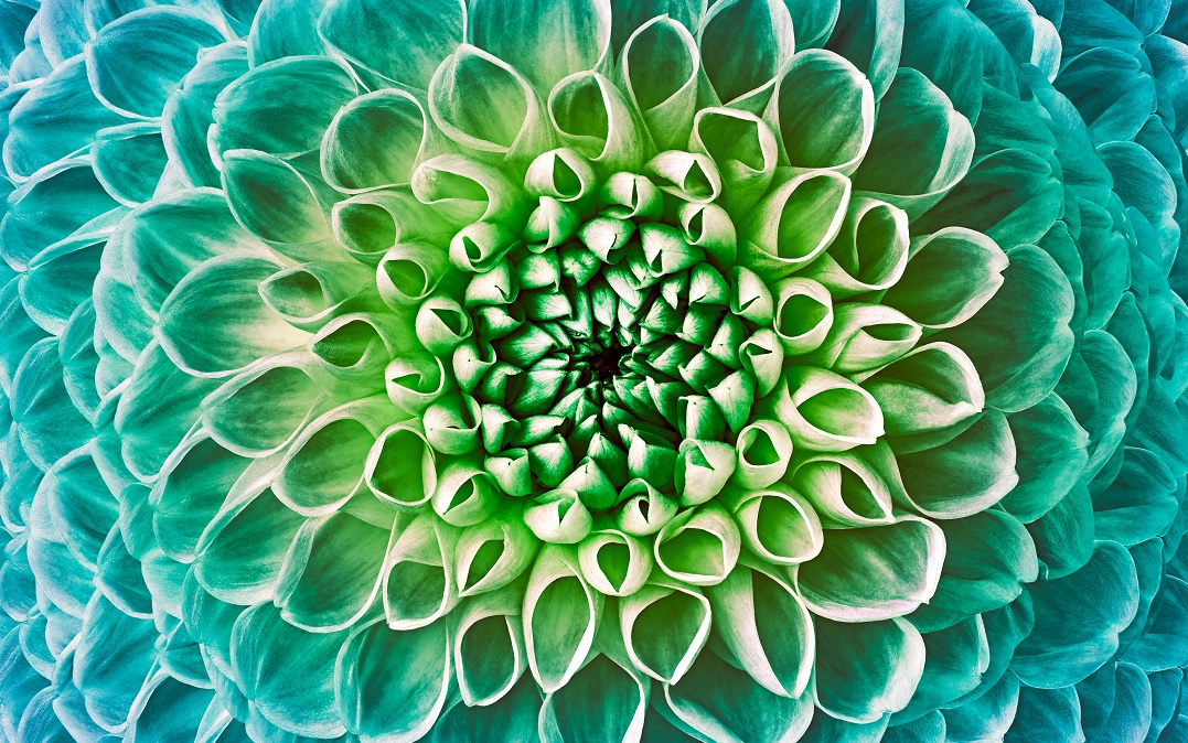 Quantum Touch 2.0 - The New Human<br>