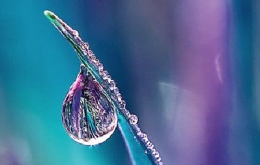 Everyday Mindfulness